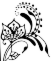 flower-181793_640.png